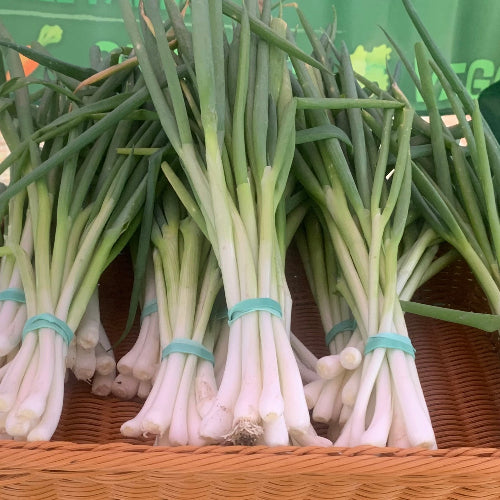 Scallions/Organic