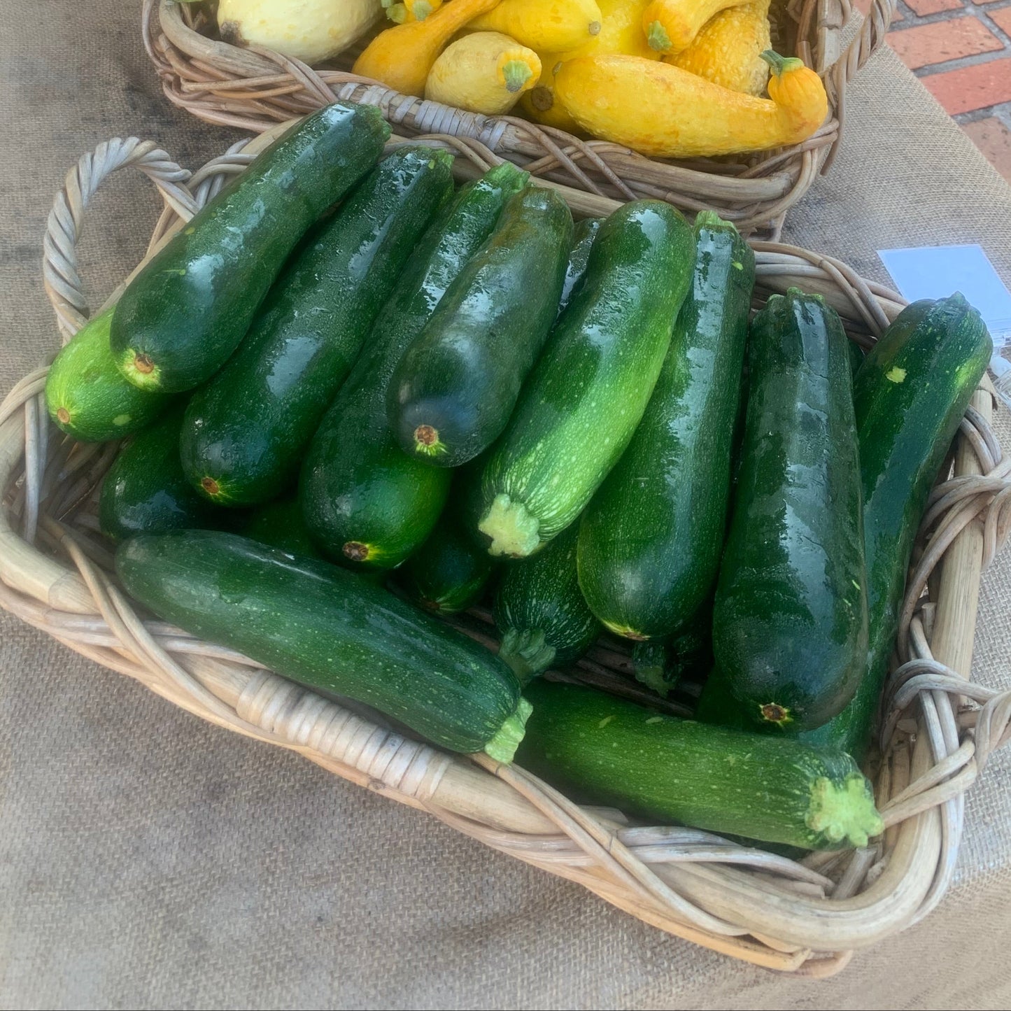 Squash-Zucchini/Organic