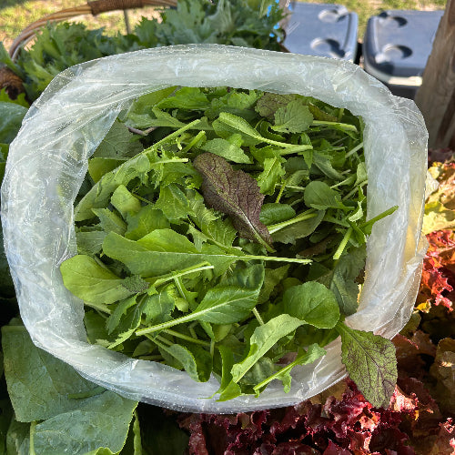 Baby Greens Mix/Organic