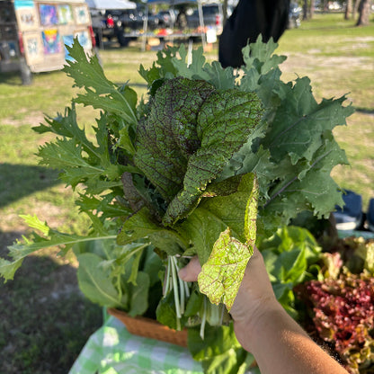 Peppery Greens Bouquet/Organic