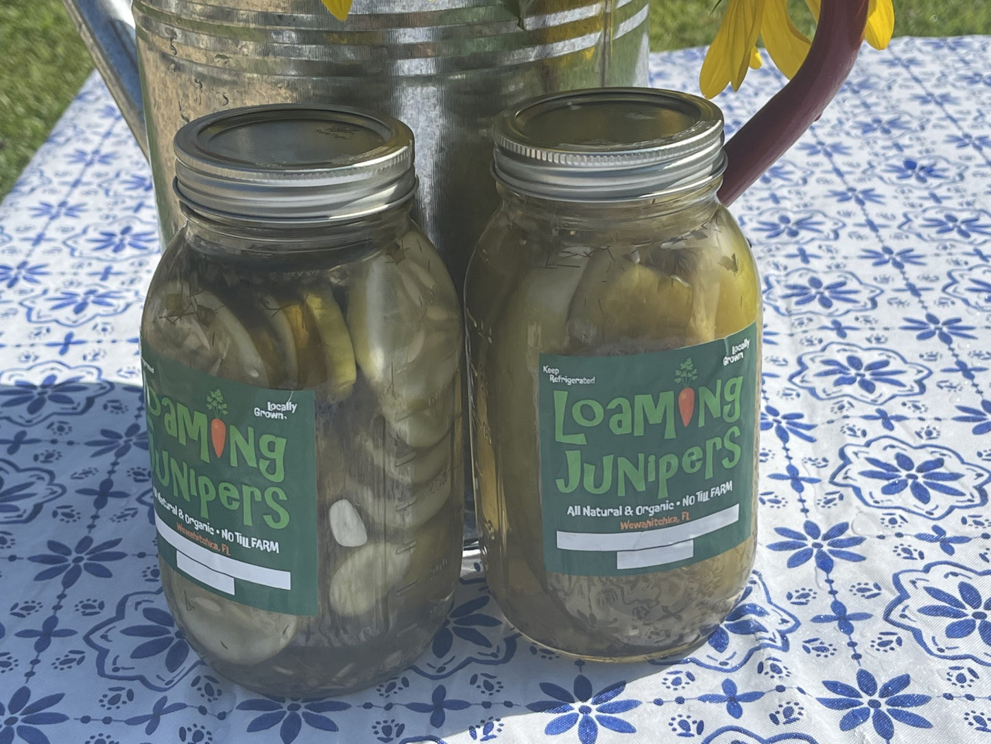Pickles ~ Dill Pickle Rings