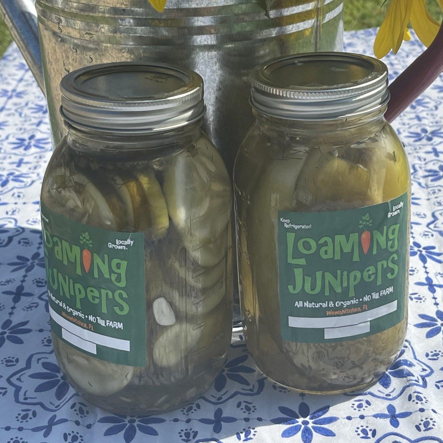 Pickles ~ Dill Pickle Rings