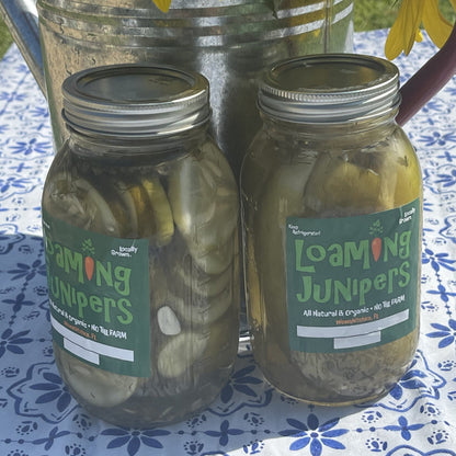 Pickles ~ Dill Pickle Rings