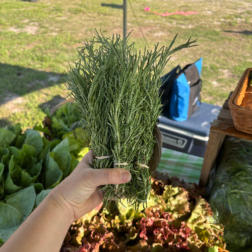 Rosemary/Organic