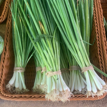 Scallions/Organic