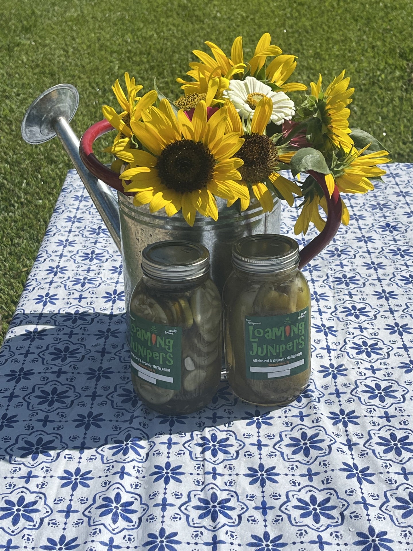 Pickles ~ Spicy Dill Pickle Spears